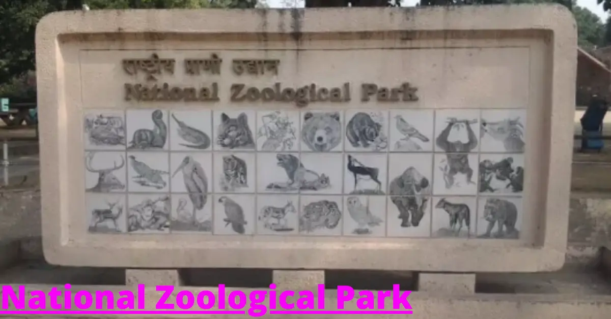 दिल्ली चिड़ियाघर नई दिल्ली