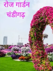 rose garden