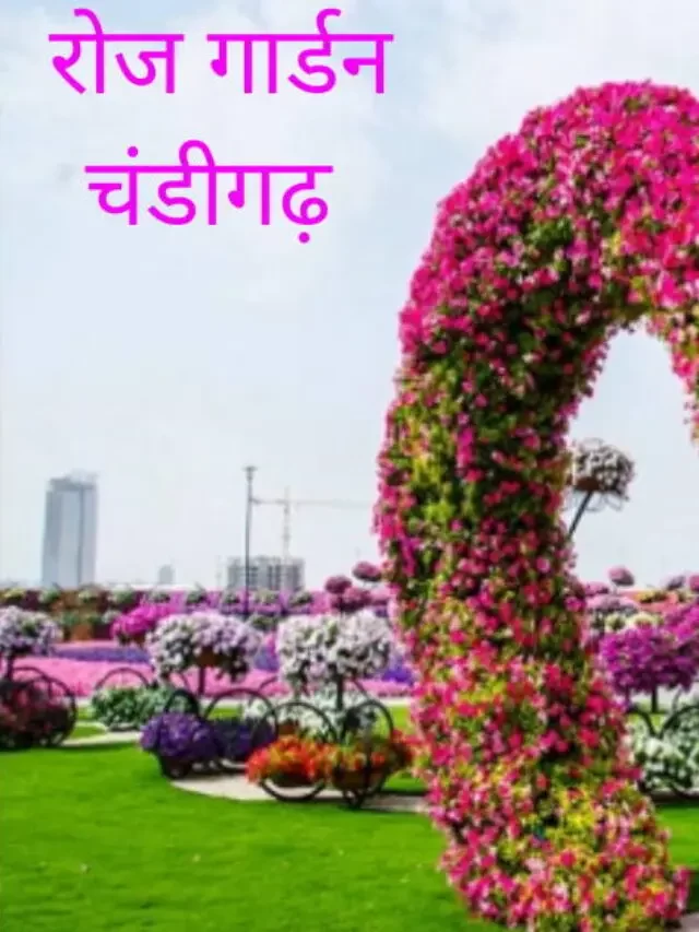 पंजाब की राजधानी चंडीगढ़ के 6 मुख कमाल के प्रभाव